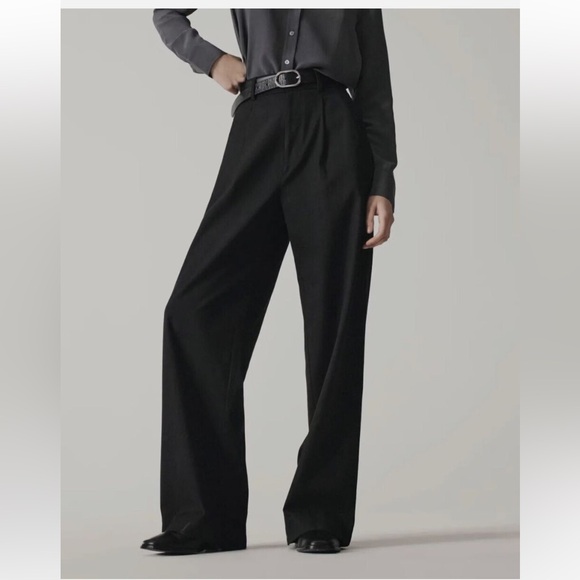 NWT Everlane Way-High Drape Pant - Picture 6 of 6